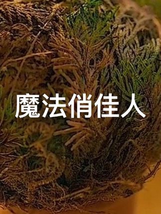 魔法俏佳人 #好剧推荐 #精彩片段 #魔法 #魔术 #火焰