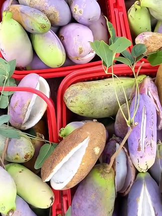 贵州八月瓜 #新鲜采摘 #好货推荐 #软糯香甜