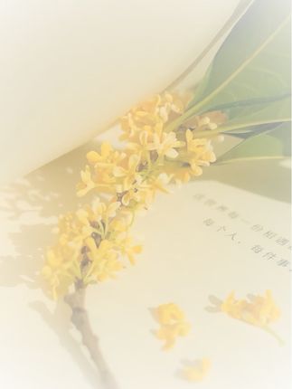 #垂感十足 #半身裙搭配 #百褶裙少女 #分享今天的穿搭 #气质女神 @DOU+小助手