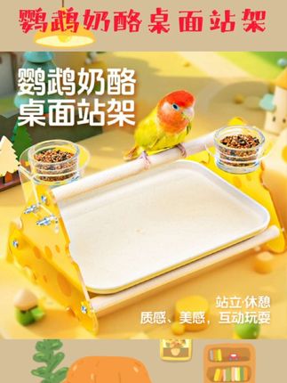 鹦鹉奶酪桌面站架加厚亚克力站棍玻璃食盆水壶牡丹和尚互动#鹦鹉日常 #鹦鹉桌面站架 #鹦鹉桌面垃圾桶 #鹦鹉桌面架子 #鹦鹉桌面站台
