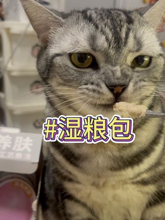 还得是你啊#爱那多,买主食湿粮还送陶瓷碗和勺子! #爱那多湿粮 #吃货猫 #萌宠好物