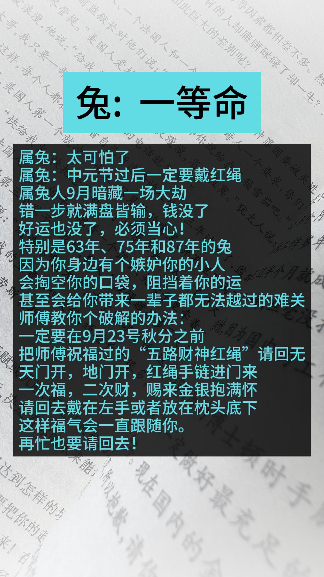 #兔