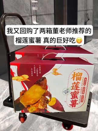 剥开榴莲蜜薯的瞬间,焦糖色果肉裹着流心般的蜜浆,像把热带阳光揉进了土壤里。咬下去先是红薯的绵密,紧接着榴莲的馥郁奶香在舌尖炸开,#蜜薯 #榴莲蜜薯 #软糯香甜#农产品 #马铃薯