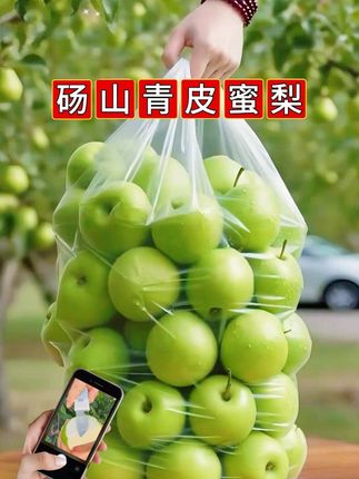 快来尝尝!我从没吃过这么惊艳的梨,一口咬下去,清甜的汁水瞬间在嘴里爆开,满是清爽。 这是来自安徽砀山的原生态脆冠梨,本来是随手买的,没想到彻底爱上了!它是大山里农户自家种的,遵循自然生长规律,不打农药、不催熟,每一颗都带着天然的好味道。果肉细腻得几乎没有渣,嚼着满口清甜,汁水多到咬一口都要小心顺着指缝流下来。 今年砀山的脆冠梨大丰收,漫山遍野都是挂满枝头的果实。而且它还富含微量元素和维生素,真心建议大家试试! #青皮蜜梨#优质农产品 #应季水果 #口感好 #三农