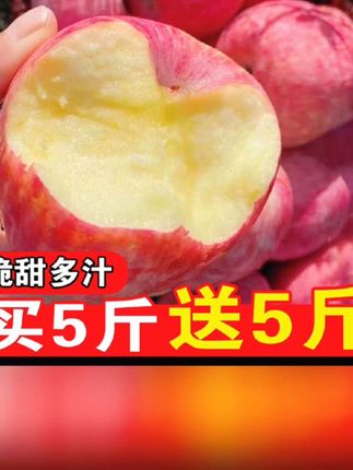 红富士苹果 坏果包赔 买5斤送5斤 脆甜多汁 多仓发货