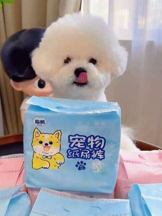 #狗狗生理裤#宠物#萌宠 #狗狗是生活的解药 #狗狗的心思都写在脸上了@抖➕小助理 @DOU+小助手