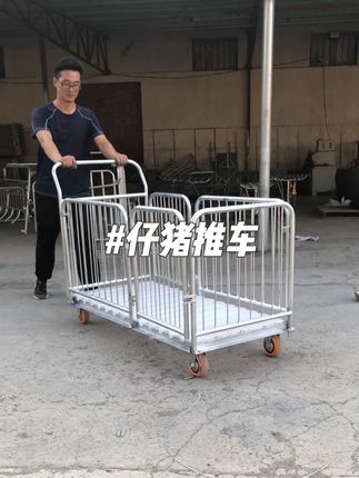 农村家里养猪的都看过来了,仔猪转运装猪车,一次装10来头小猪,转运轻松不费力,感兴趣看过来#仔猪转运车 #小猪转运车#养殖场专用 #养殖好帮手 #