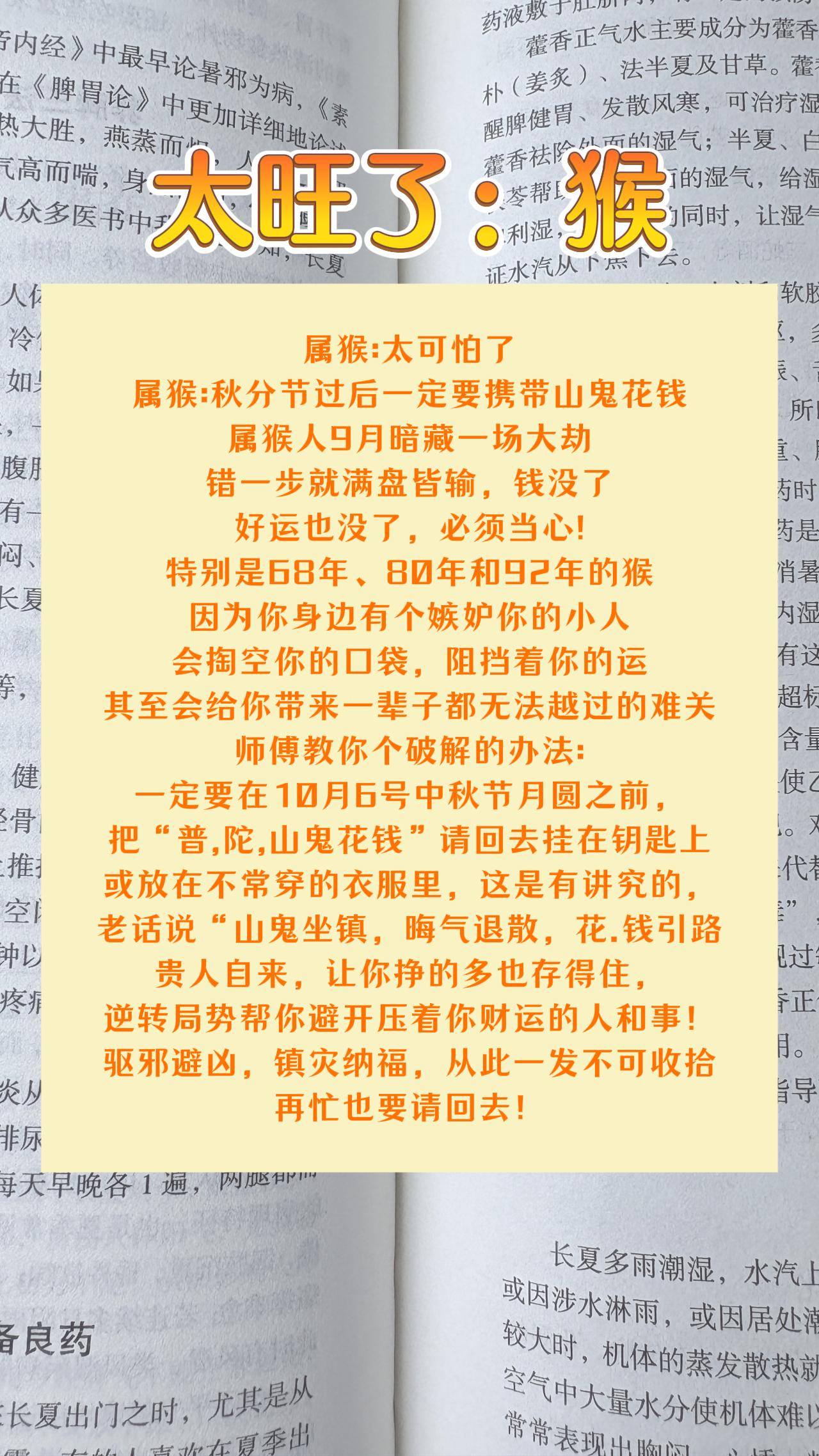 #猴 #属猴 #生肖猴