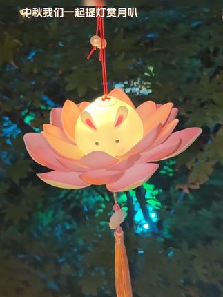 当然要给爱的人准备一盏玉兔莲花灯啊 寓意着平安团圆#中秋节 #灯笼 #莲花灯 #惊喜 #礼物
