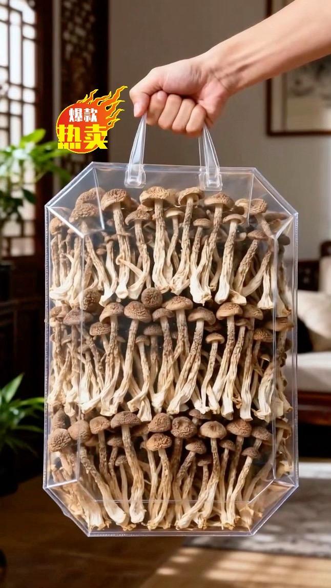 鹿茸菇干货,囤它就对了!囤货时,鹿茸菇干货一定得安排上!没入手的朋友,真的可能要拍大腿后悔! 它是老手艺慢晒出来的,把鹿茸菇原始鲜香紧紧锁住,吃一口,全是食材纯粹的鲜味儿。 泡发后更是一绝,口感脆嫩有弹性。拌米饭能让人多吃两碗;炒菜、煮汤简单又快速,厨房小白也能用它轻松做出喷香下饭的好菜。这么棒的干货,赶紧囤起来!#干货 #鹿茸菇干货 #鹿茸菇怎么炒好吃 #舌尖上的味道#优质农产品