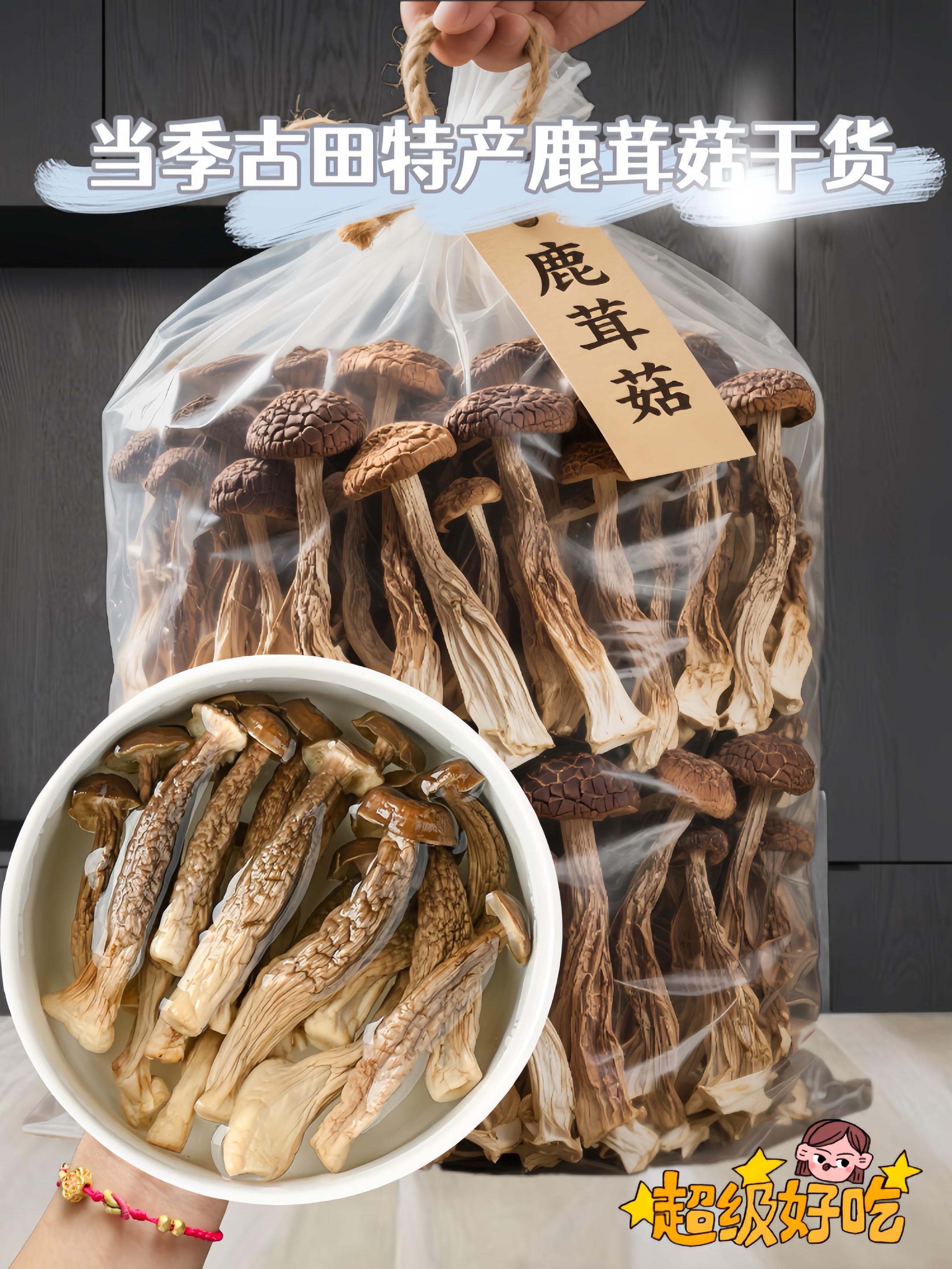 姐妹们!今天给大家推荐一款非常好吃的干货鹿茸菇,不管是凉拌、炒菜、煲汤还是干锅都非常的好吃,口感鲜嫩脆爽,美味难得,喜欢吃鹿茸菇的姐妹一定要试试!#干货 #鹿茸菇 #土特产 #优质农产品 #煲汤食材