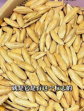 疆域庭州【新疆美人甲南瓜子】椒盐原味南瓜子新货焦香酥脆零食好嗑#新疆美人甲南瓜子 #美人甲南瓜子#南瓜子#瓜子#椒盐南瓜子