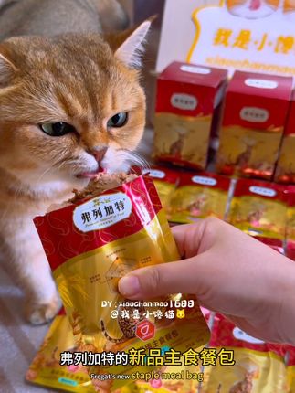 弗列加特新品主食餐包,现在还有活动,快给你家猫尝尝鲜吧…… #弗列加特 #猫罐头 #萌宠好物 #新手养猫 #小馋猫老板