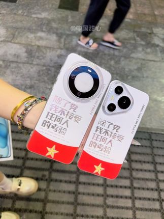 除了母亲~我不接受任何人的考验!#爱了爱了 #高级感 #用一个手机壳展示我的精神状态 #这个手机壳真的长在我心巴上了