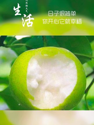 安徽砀山梨子大丰收,快来尝尝鲜啊#硕果累累 #应季水果 #快来一起尝个鲜