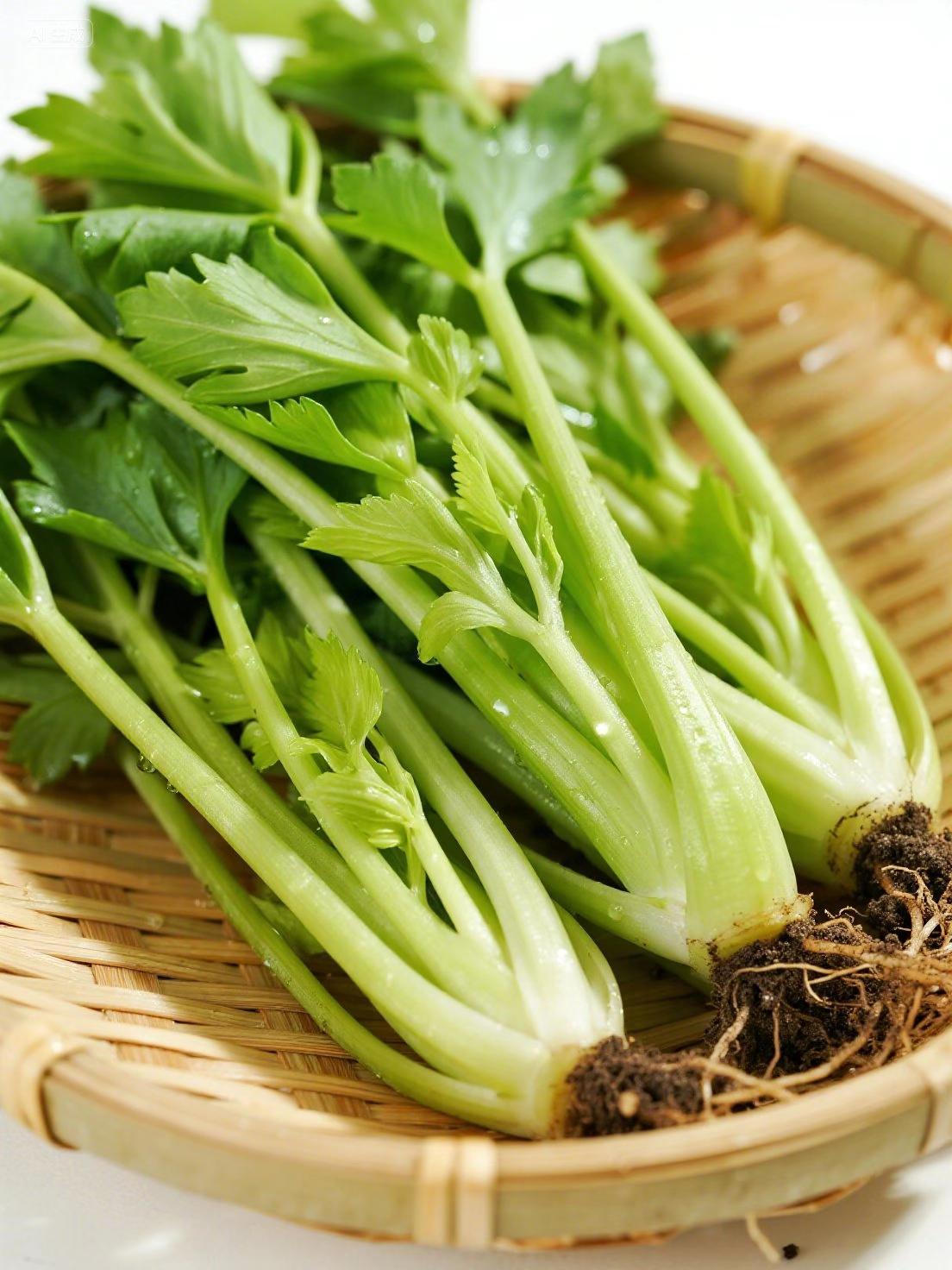 有想在家种点能吃久的菜吗,可以试试皇后大西芹,这芹菜好养活,阳台花盆或小院角落都能种,好打理,准备好地方埋上菜苗 再浇点水。平时等土干了再浇水,不用费啥心。等熟了想吃时从外层掐几根嫩茎,只要根还在,里面还能接着长,一茬接一茬能吃好久。炒着吃,拌凉菜,都好吃。吃自己种的还新鲜,随摘随吃。#皇后大西芹 #芹菜 #芹菜种植#阳台小院盆栽均可种植 #芹菜苗