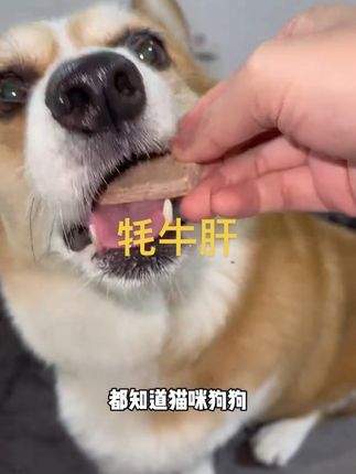 看到还是这个价赶紧薅!#宠物零食