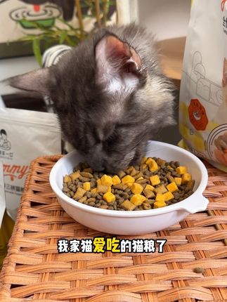 诚实一口营养3拼冻干猫粮 嘎嘎好吃 关键性价比真的高#太好吃了 #好吃到停不下来 #猫粮 #猫粮推荐 #诚实一口
