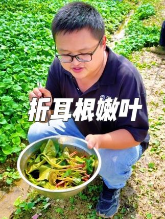 折耳根又叫鱼腥草,这种嫩叶子凉拌起来真的太美味了,越吃越想吃 #鱼腥草 #折耳根