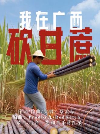 广西舰春节拜年投票断层第一!这就是广西狼兵的排面吗?#广西舰 #钦州舰 #人民海军 #广西 #广西狼兵