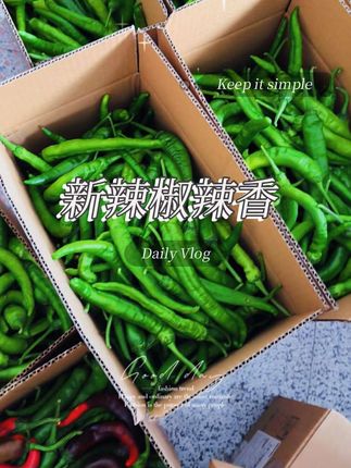 #优质农产品 #新鲜辣椒 #辣椒 #农产品 #辣椒种植 好吃的江西辣椒