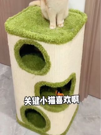 #家有宠物 #强烈推荐 免安装四季通用树洞#猫爬架猫窝一体 剑麻桶猫窝猫房#猫窝推荐 #猫抓板猫窝
