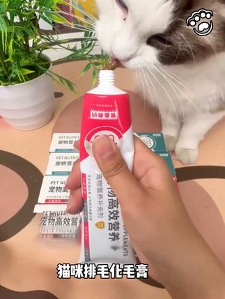 猫咪经常舔自己毛发,肠胃经常积累大量毛发影响健康,试试这款#化毛膏猫咪推荐 #萌宠好物 #新手养猫需要准备哪些用品 #小奶猫的成长日记