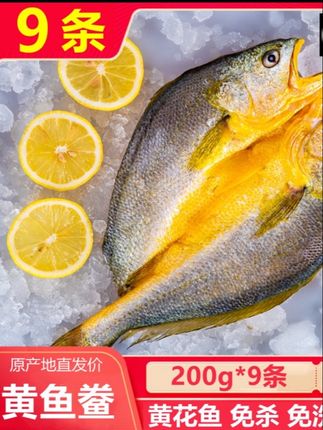 【买6送3 到手9条】宁德霞浦黄鱼鲞 黄花鱼新鲜冷冻 免杀免洗免调味
