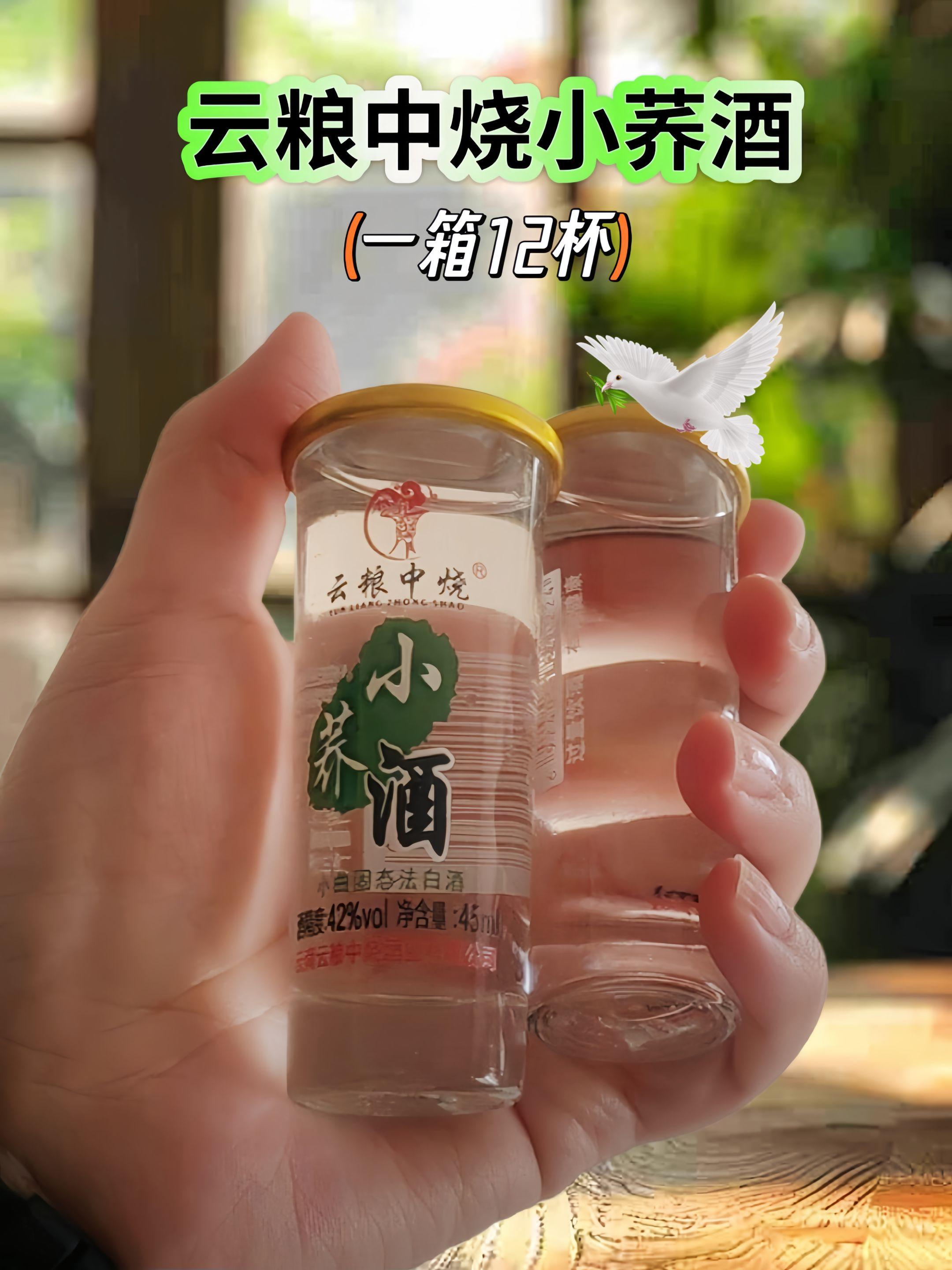 谁懂啊!云南人私藏20年的小荞酒,像把云南的风都酿进去了。云粮中烧小桥酒,用云南高原苦荞,小曲固态法纯粮酿的,开盖就是天然谷物香直钻鼻子。42度刚好,喝着不辣喉,45mI自带小杯揣兜就走,露营、聚会拿出来碰杯,氛围直接拉满~ #好喝不贵 #云南苦荞酒 #口粮酒宝藏 #小荞酒#纯粮酿造