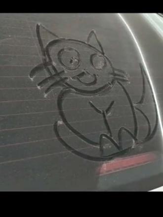 如何画一只超丑的哈基米#画画 #猫 #哈基米 #比亚迪 #摸鱼