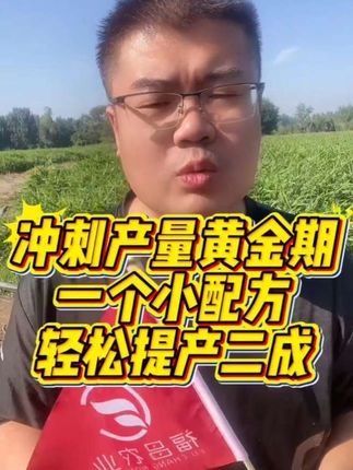 #大姜种植 #膨大增产 #高产大姜