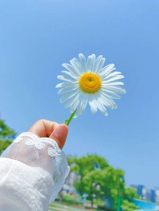#优雅气质 #魅力十足 #引领时尚潮流 #气质女神穿搭 #提升时尚感的穿搭