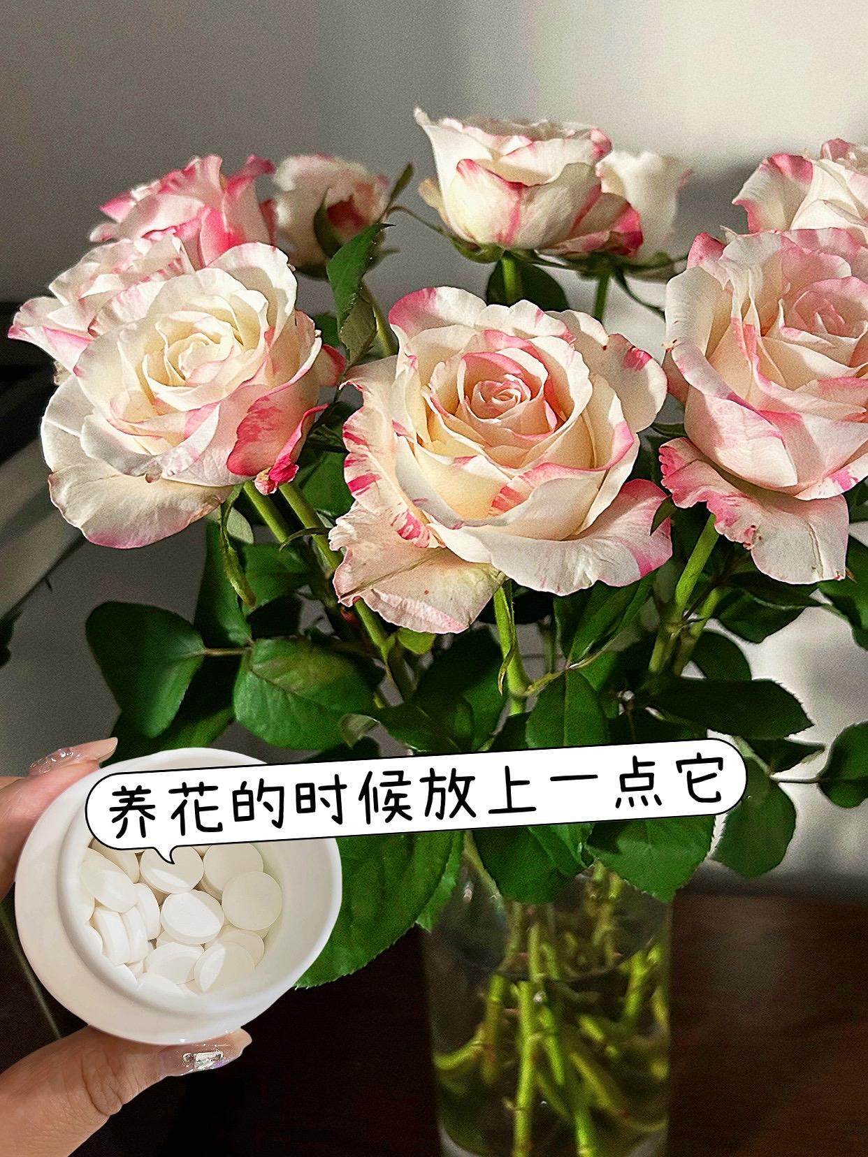 一水到底!延长花期!#鲜花#居家插花#鲜切花#鲜花泡腾片 #鲜花养护