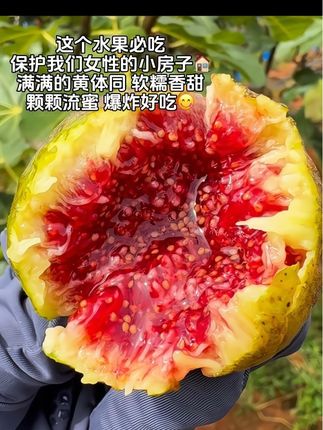 这个水果女生必吃!保护我们女性的小房子🏠满满的黄体酮 软糯香甜,颗颗流蜜 真的爆炸💥好吃!#快来一起尝个鲜 #新鲜采摘 #新鲜无花果 #软糯香甜 #女生吃无花果的好处