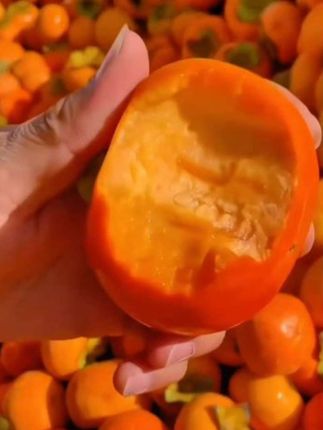 巧克力脆柿巨便宜#强烈推荐 #巧克力脆柿