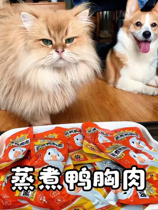 鲜嫩多汁原汁原味高温蒸煮而成的鲜嫩鸭胸肉#猫咪 #狗狗 的健康小零食!#优惠活动火爆进行中 #萌宠好物 #性价比超高
