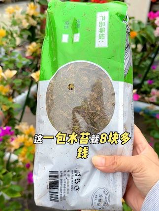花多多干苔藓水苔蝴蝶兰水苔兰花蝴蝶兰专用土石斛种植营养土爬宠#水苔 #水苔种植蝴蝶兰 #水苔高压三角梅 #水苔藓 #水苔兰花