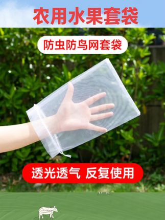 #农用工具 水果套袋防鸟网纱袋瓜果防虫专用袋无花果枇杷葡萄桃子草莓保护袋#农用好物 #水果套袋 #园艺工具 #草莓保护袋