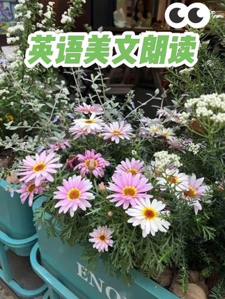 正能量英语美文朗读 #爱生活爱养花 #英语口语 #英语启蒙 #英语老师 #英语美文朗读