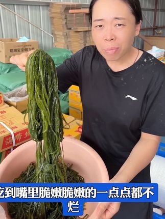 #海带丝 #凉拌菜 #卤菜 #熟食 #这也太好吃了
