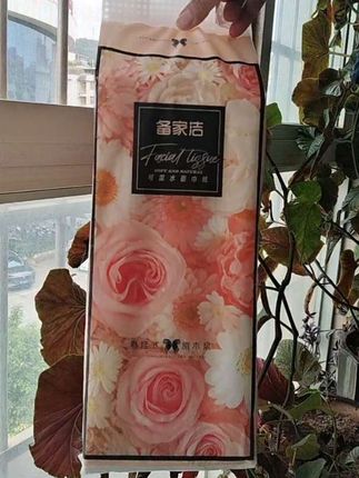 备家洁悬挂式10大提1500张大包纸巾家用实惠加厚柔软可湿水整箱装#抽纸#大包抽纸#干湿两用 #