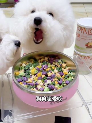 没时间给毛孩子准备蔬菜水果,就安排这个果蔬冻干桶,营养美味小狗超爱吃 #家有馋狗 #萌宠好物 #宠物零食 #宠物果蔬冻干