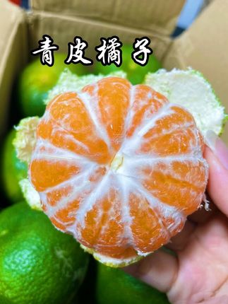青皮橘子酸酸的,还是老味道#橘子 #青皮橘子 #应季水果 #快来一起尝个鲜 #水果