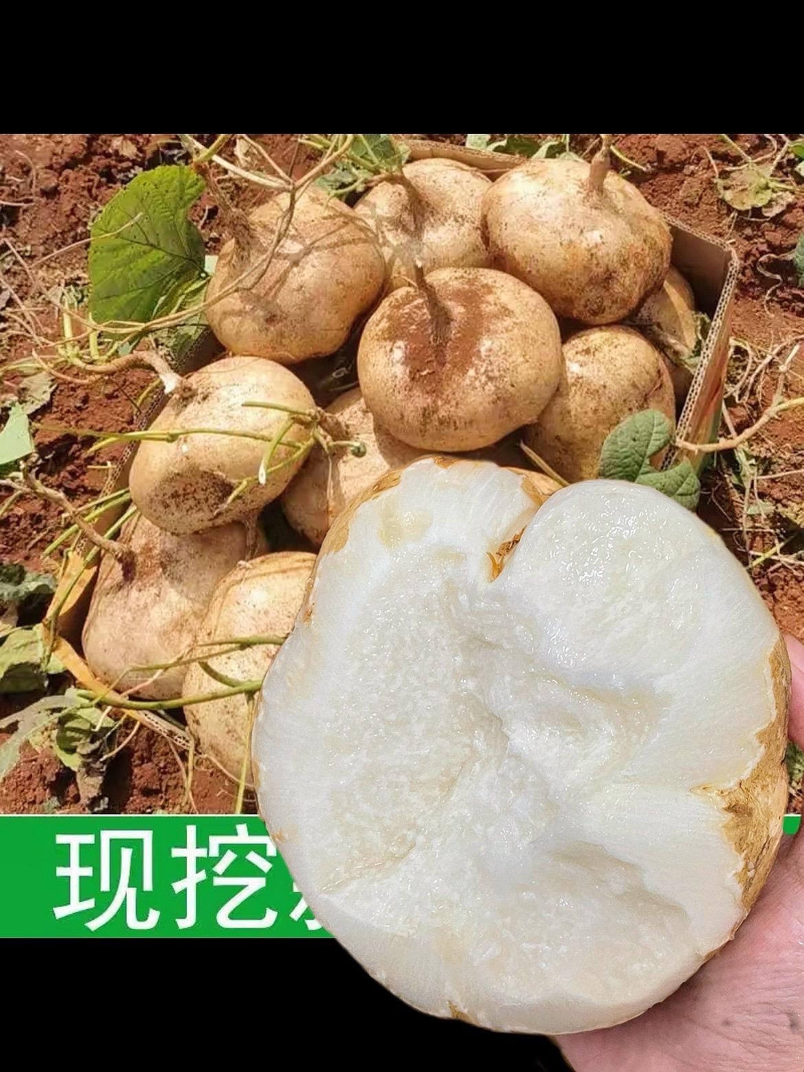 你们买的是不是不好剥皮,看我买的一撕到底,很脆甜,三个果型推荐中果!#家乡好货 #强烈推荐 #快来一起尝个鲜