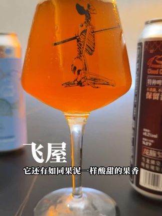 无需硬扛啤酒花的苦,一样可以体验啤酒花爆炸的香气#IPA #精酿啤酒 #飞屋