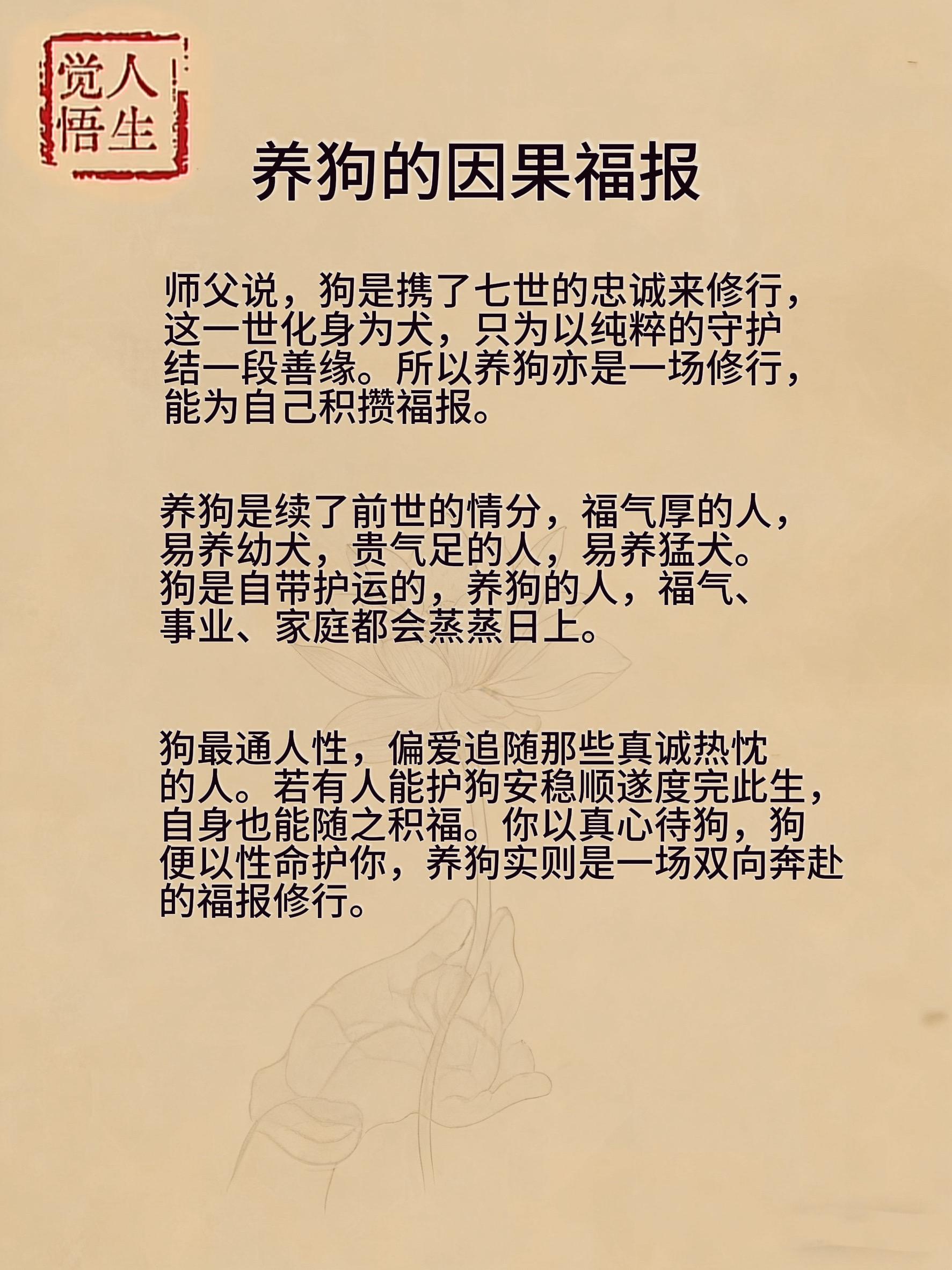 养狗的因果福报#人生觉悟 #提升自己 #养狗 #佛说