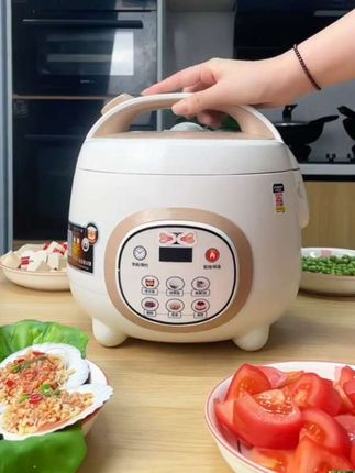半球电锅蒸煮煲汤电饭煲,智能粥锅,煮饭1.6L-2L3L4L5升触屏#电饭煲#电饭锅#小电饭煲#多功能电饭煲#不粘锅电饭煲