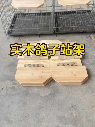 #实木鸽子站架#鸽子息架#鸽子实木站架息架