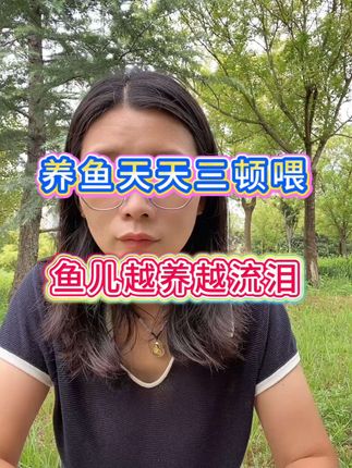 养鱼天天三顿喂,鱼儿越养越流泪#养鱼经验分享#养鱼小知识#新手养鱼#养鱼日记