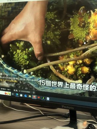 #万物皆可盘#李羲承符神颜#张予曦#旺仔小乔#赵露思